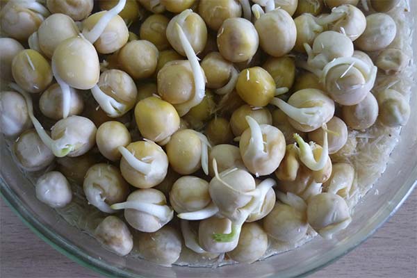 Recettes à base de pois germés