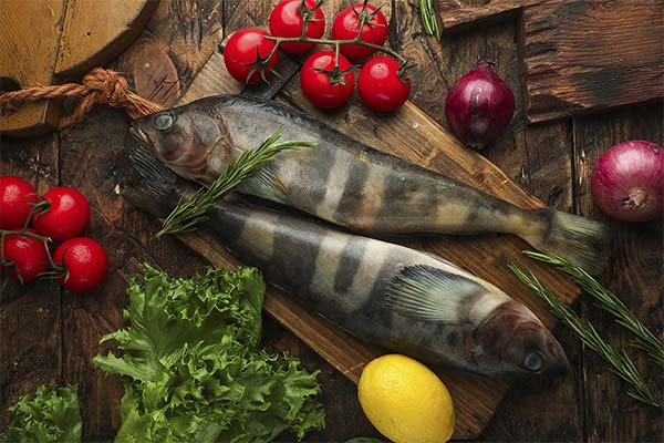 Der Terpug-Fisch