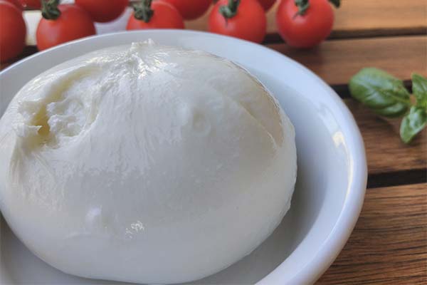 Burrata-Käse