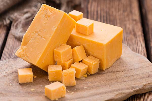 Cheddar-Käse