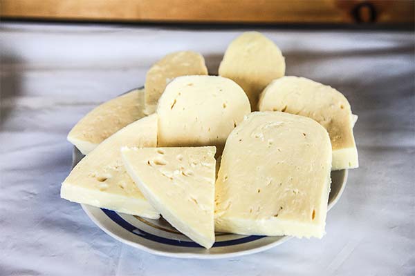 Suluguni-Käse