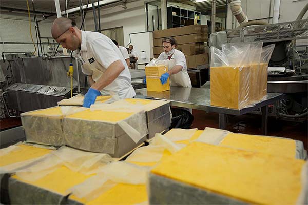 Die Technologie der Cheddar-Herstellung