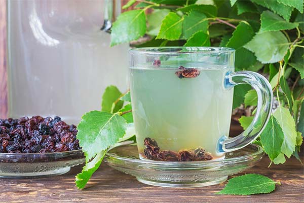 Birkensaft mit Rosinen und Honig
