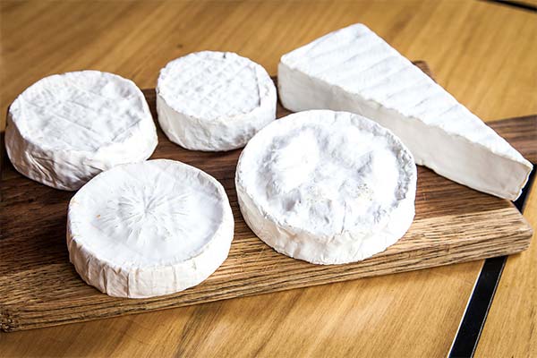 Worin unterscheidet sich Brie von Camembert?