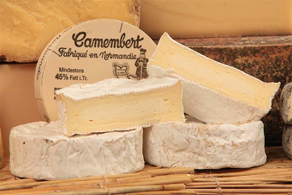Wo kann man Camembert kaufen und wie viel kostet er?
