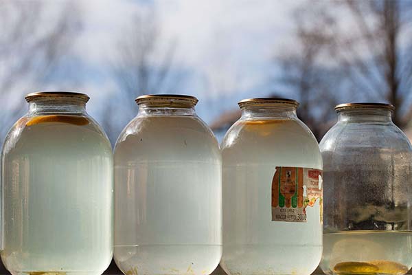 Stockage de la sève de bouleau