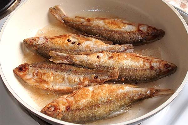Wie man Tschebak-Fisch zubereitet
