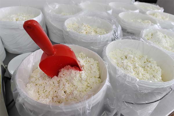 Comment choisir un fromage blanc frais lors de l'achat