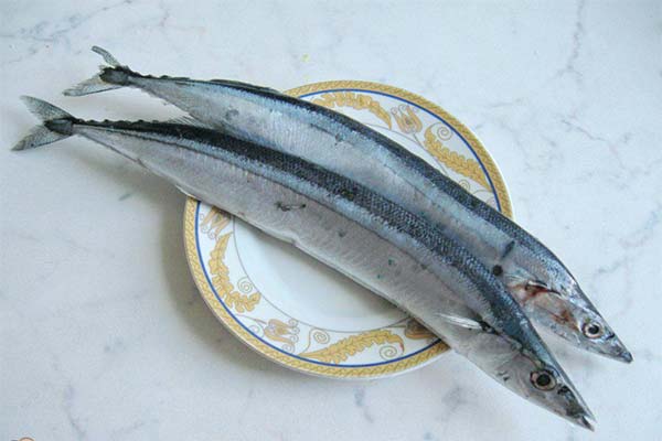 Können Sie Saury essen?