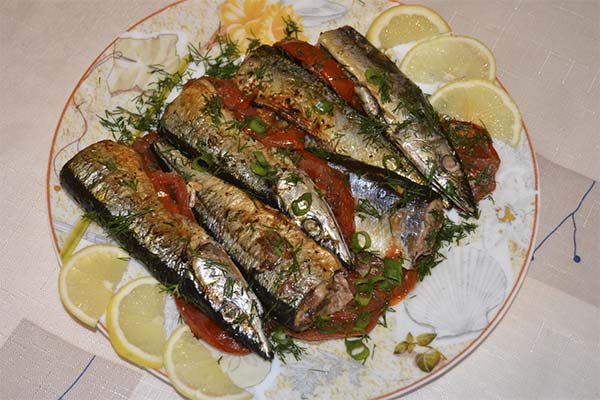 Makrelenhecht aus dem Backofen