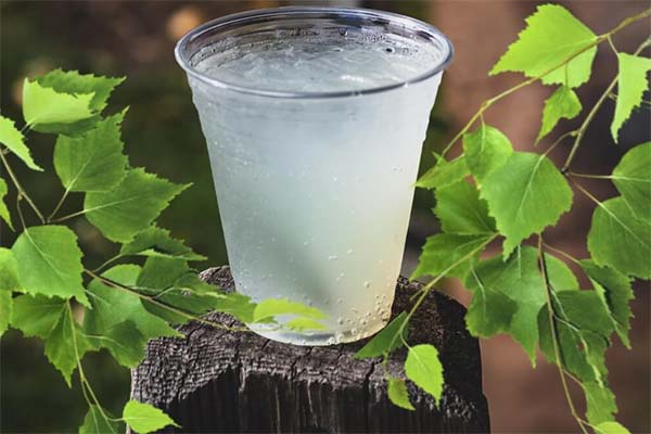 Selbstgebrannter aus Birkensaft