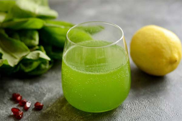 Sauerampfer-Limonade