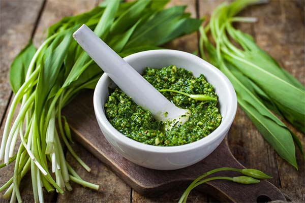 Pesto aus Bärlauch