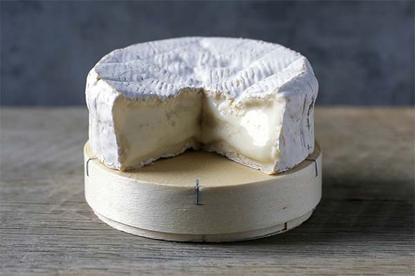 Camembert-Käse