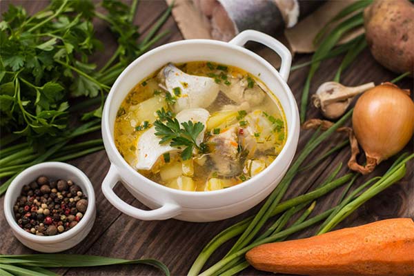 Fischsuppe (Ucha) aus Birkensaft