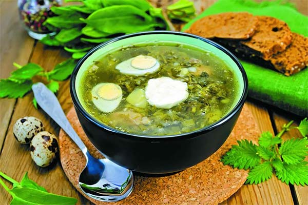 Grüner Borschtsch mit Sauerampfer