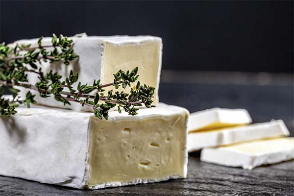 Was Sie mit Brie-Käse zubereiten können