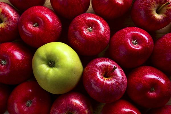 Couleur des pommes et leurs propriétés