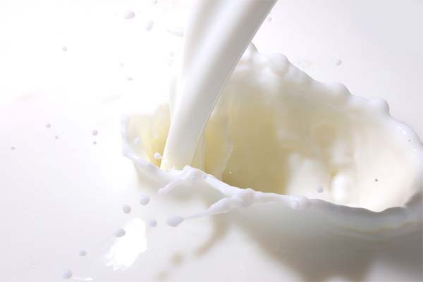 Bei welchen Krankheiten wird Kamelmilch angewendet?