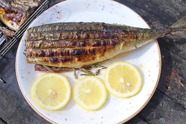 Chir au grill