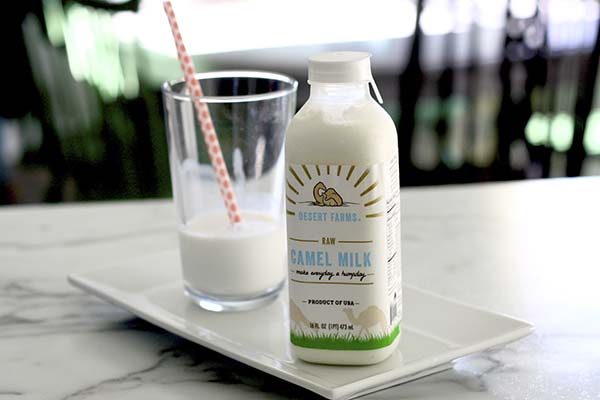 Kamelmilch