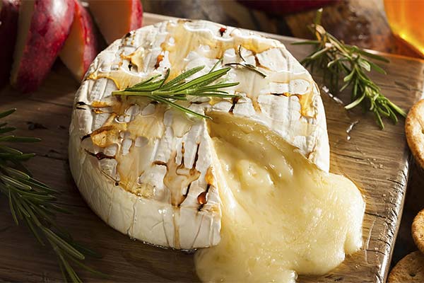 Gebackener Brie-Käse