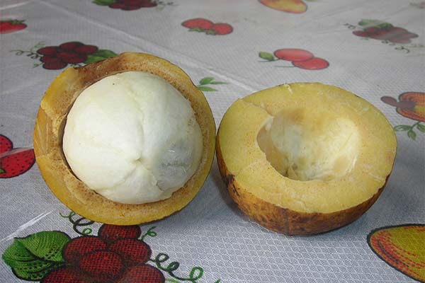 Utilisation de la platonie