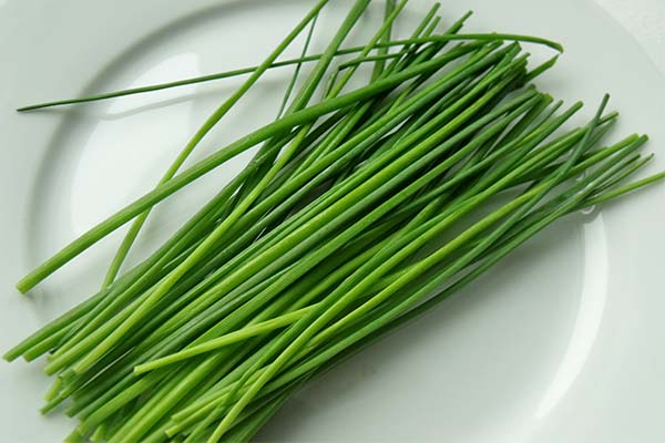 Ciboulette