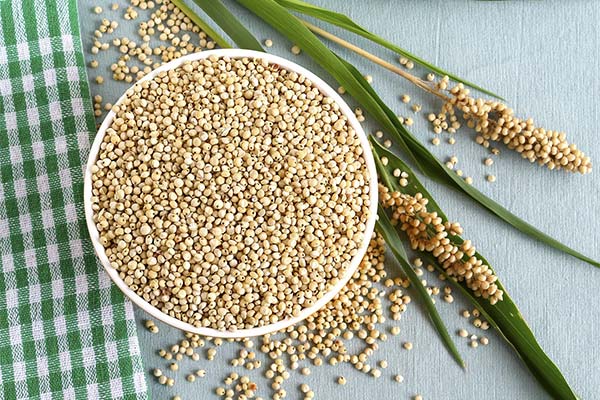 Nutzen und Schaden von Sorghum