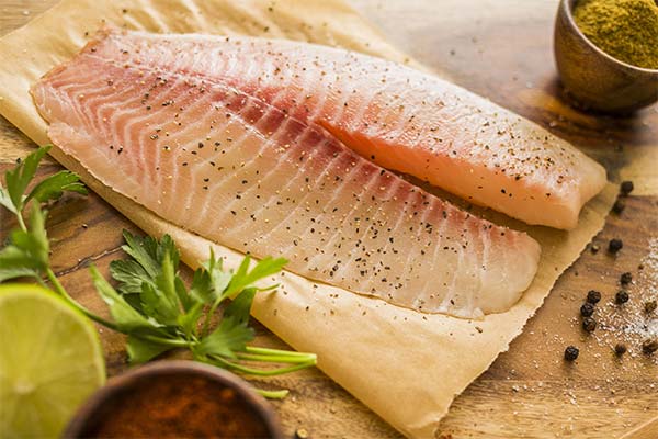 En quoi la chair du tilapia est-elle bénéfique