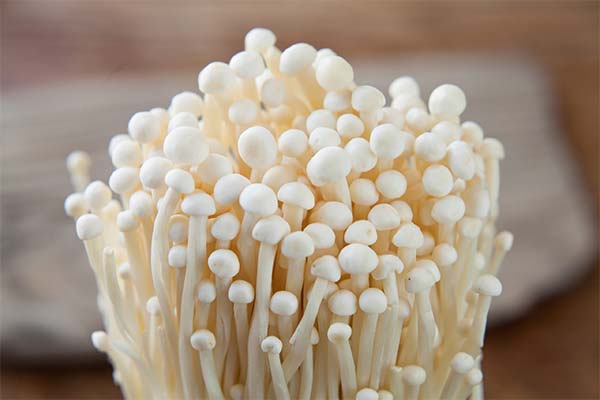 Wie sind Enoki-Pilze nützlich?