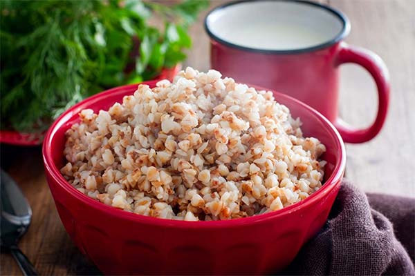 Grains de sarrasin