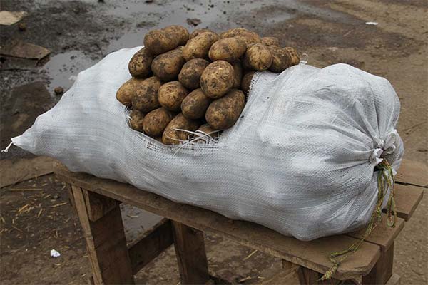 Kartoffel im Sack