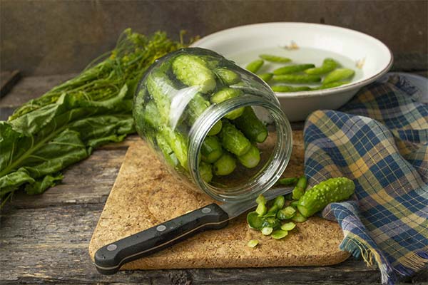 Hausrezepte für leicht gesalzene Gurken