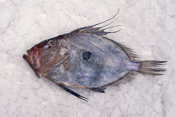 Dori