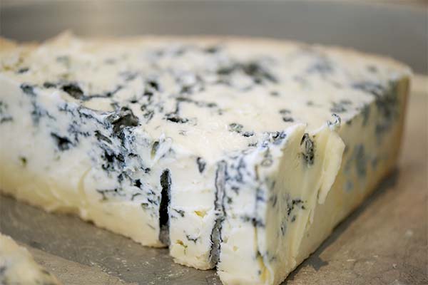 Faits intéressants sur le gorgonzola