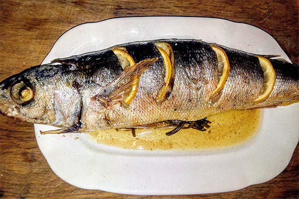 Wie man Krasnoglaska zubereitet