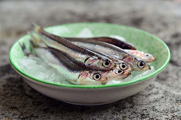 Hamsa-Fisch
